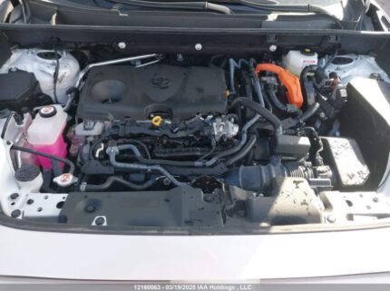 2T3DWRFV5PW170030 2023 TOYOTA