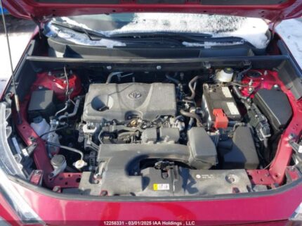 2T3R1RFV1RW444122 2024 TOYOTA