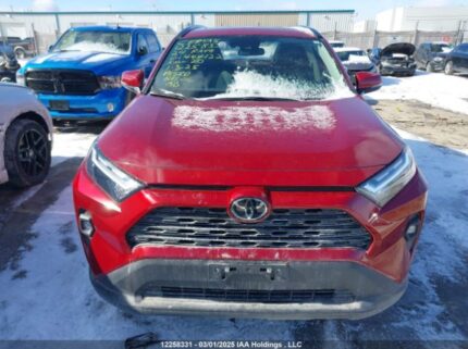 2T3R1RFV1RW444122 2024 TOYOTA