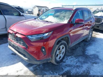 2T3R1RFV1RW444122 2024 TOYOTA