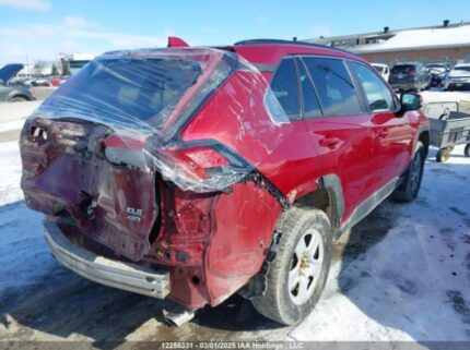 2T3R1RFV1RW444122 2024 TOYOTA