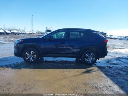 2T3R1RFV9PW402391 2023 TOYOTA