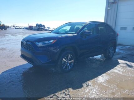 2T3R1RFV9PW402391 2023 TOYOTA