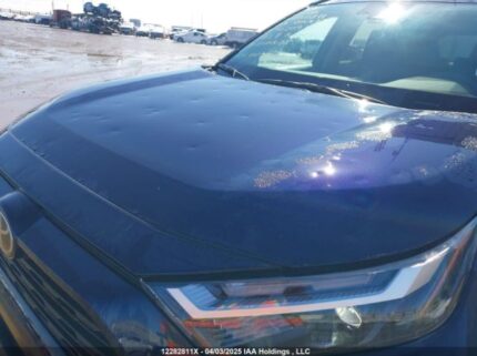 2T3R1RFV9PW402391 2023 TOYOTA