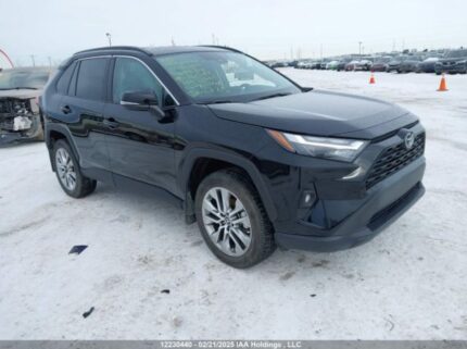 2T3R1RFV9RC460277 2024 TOYOTA