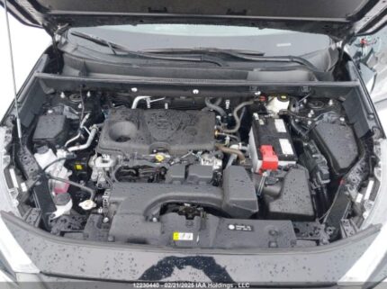 2T3R1RFV9RC460277 2024 TOYOTA