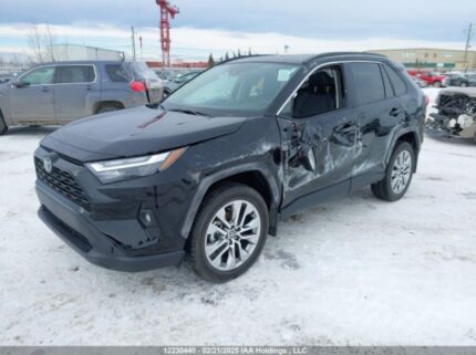 2T3R1RFV9RC460277 2024 TOYOTA