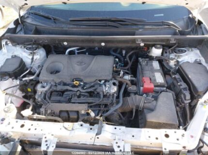 2T3R1RFVXRW452235 2024 TOYOTA