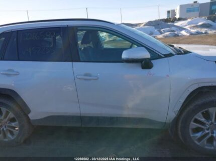 2T3R1RFVXRW452235 2024 TOYOTA