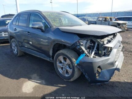 2T3RWRFV1NW150246 2022 TOYOTA