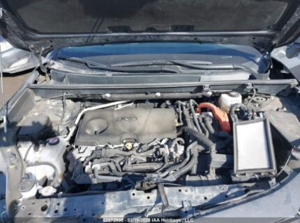2T3RWRFV1NW150246 2022 TOYOTA