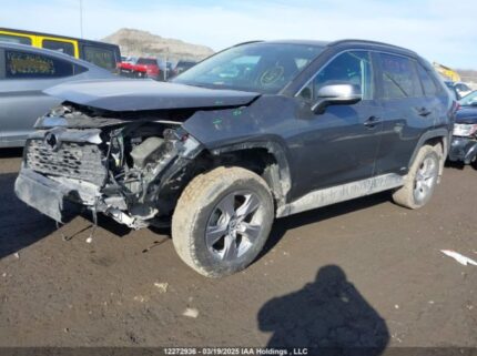 2T3RWRFV1NW150246 2022 TOYOTA
