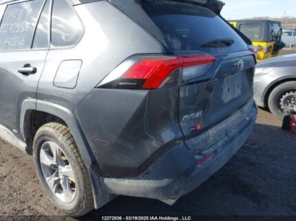 2T3RWRFV1NW150246 2022 TOYOTA