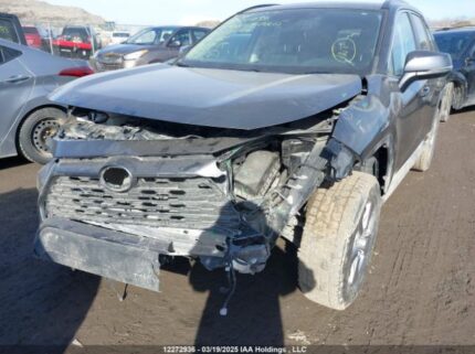 2T3RWRFV1NW150246 2022 TOYOTA