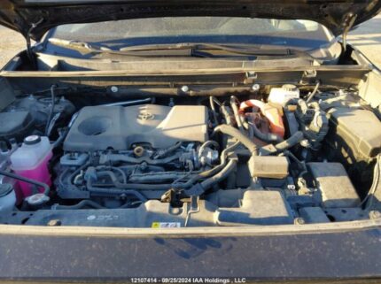 2T3RWRFV1PW166465 2023 TOYOTA