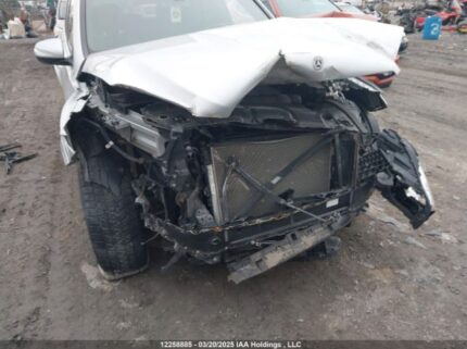 4JGFB4KBXLA039585 2020 MERCEDES-BENZ