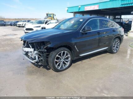 5UX2V1C01M9F50029 2021 BMW