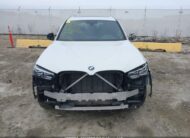 5UX53DP09R9U36153 2024 BMW