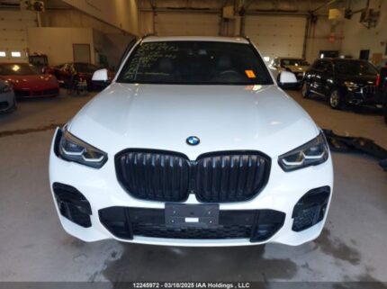 5UXCR6C01N9N24731 2022 BMW