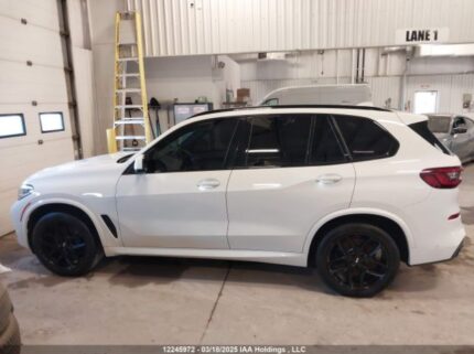 5UXCR6C01N9N24731 2022 BMW