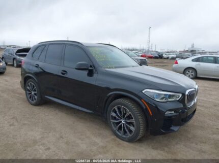 5UXCR6C51KLL13619 2019 BMW