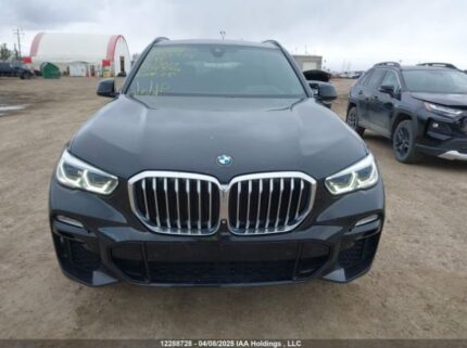 5UXCR6C51KLL13619 2019 BMW