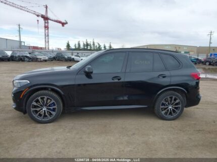 5UXCR6C51KLL13619 2019 BMW