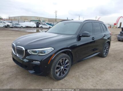 5UXCR6C51KLL13619 2019 BMW