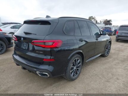 5UXCR6C51KLL13619 2019 BMW