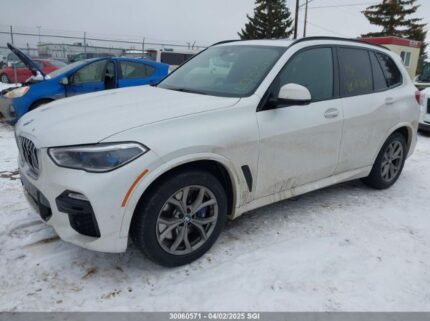 5UXCR6C55KLL03322 2019 BMW