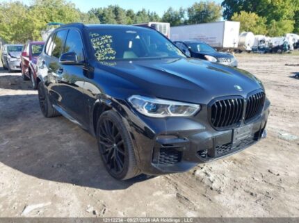 5UXCR6C59KLK82183 2019 BMW