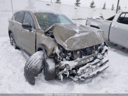 JM3KFBAY6R0351720 2024 MAZDA
