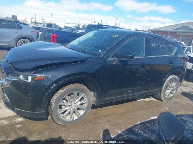 JM3KFBDM5S0557223 2025 MAZDA