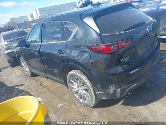 JM3KFBDM5S0557223 2025 MAZDA