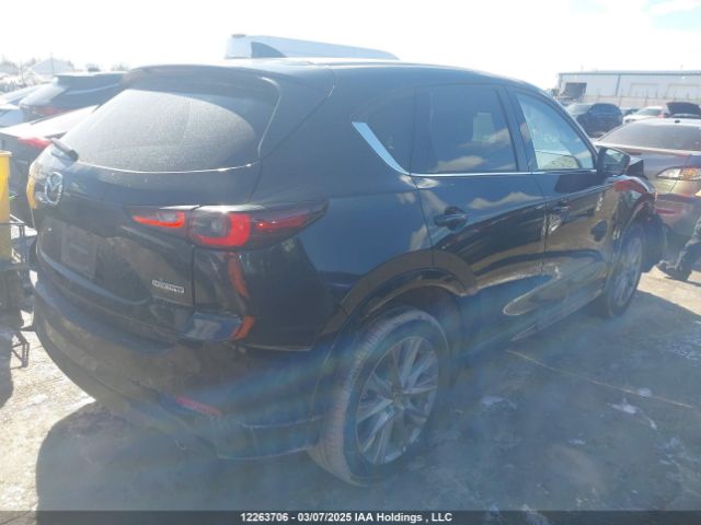 JM3KFBDM5S0557223 2025 MAZDA