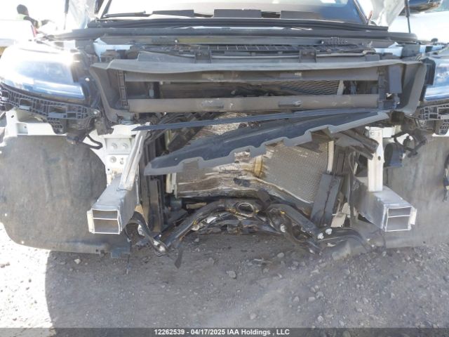 SAL1M9FU6RA181239 2024 LAND ROVER