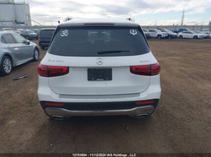W1N4M4HB3LW063039 2020 MERCEDES-BENZ