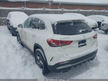 W1N4N4HB1MJ293450 2021 MERCEDES-BENZ