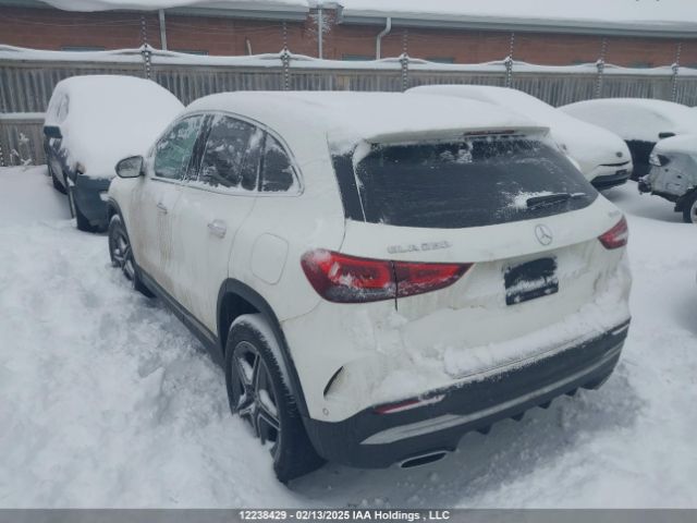 W1N4N4HB1MJ293450 2021 MERCEDES-BENZ