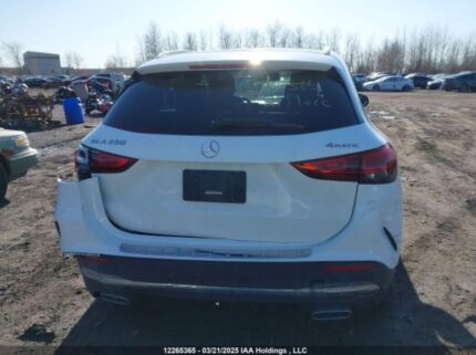 W1N4N4HB5MJ173487 2021 MERCEDES-BENZ