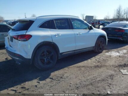 W1N4N4HB5MJ173487 2021 MERCEDES-BENZ