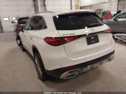 W1NKM4HB9RF217785 2024 MERCEDES-BENZ