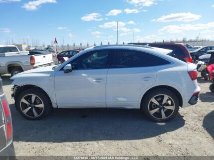 WA14AAFY6R2082460 2024 AUDI