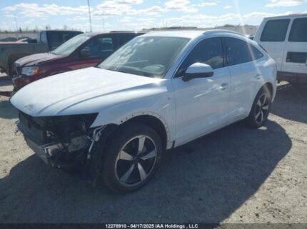 WA14AAFY6R2082460 2024 AUDI