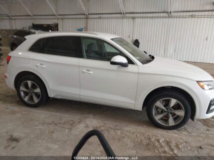WA1AAAFY2R2390186 2024 AUDI