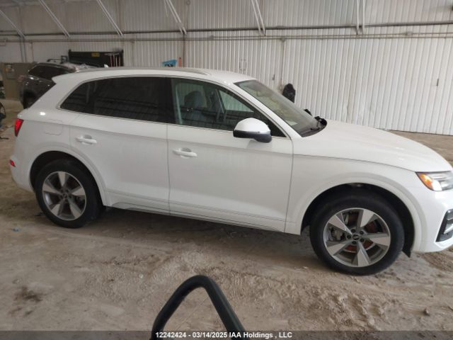 WA1AAAFY2R2390186 2024 AUDI