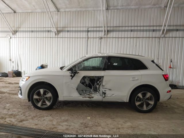 WA1AAAFY2R2390186 2024 AUDI
