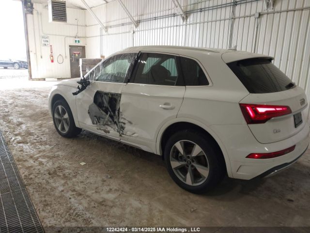 WA1AAAFY2R2390186 2024 AUDI