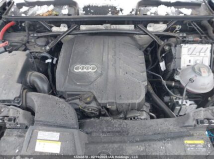 WA1AAAFYXR2065647 2024 AUDI