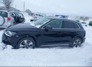 WA1AAAFYXR2065647 2024 AUDI